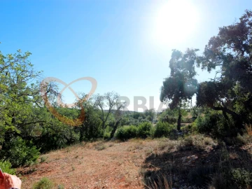 Terreno para Venda em Loule (São Clemente)