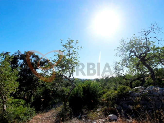 Terreno para Venda em Loule (São Clemente) Foto 23