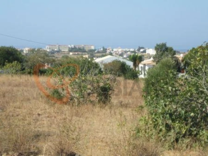 Terreno para Venda em Guia Foto 2