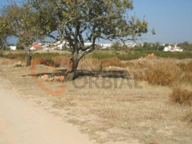Terreno para Venda em Guia Foto 6