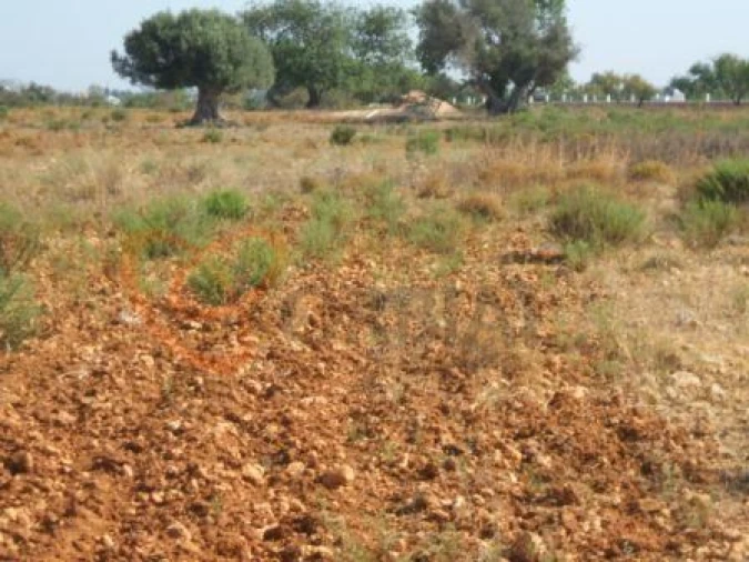 Terreno para Venda em Guia Foto 7