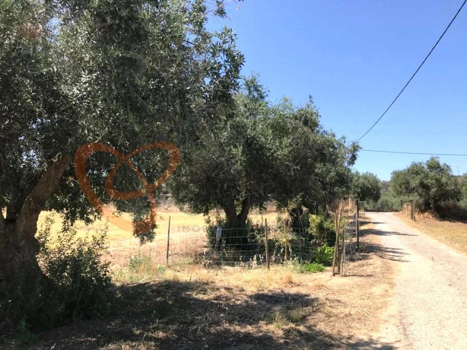 Moradia T4 para Venda em Vidigueira Foto 13