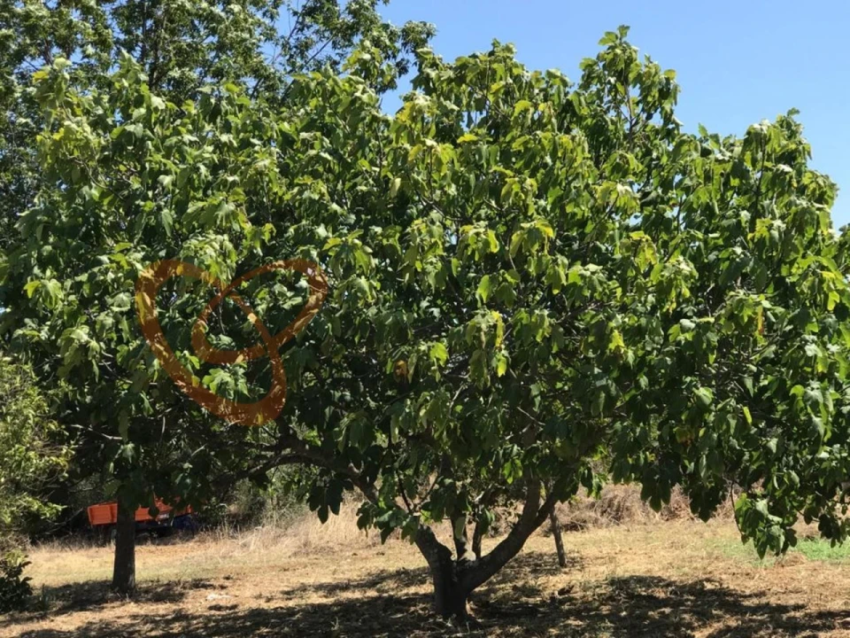 Moradia T4 para Venda em Vidigueira Foto 19