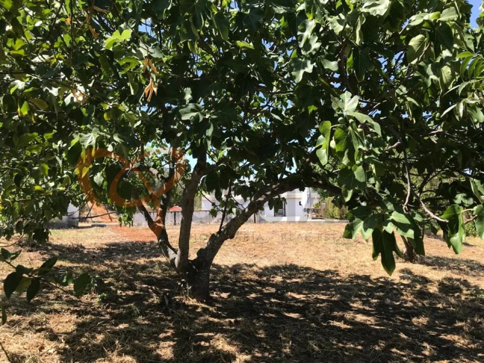 Moradia T4 para Venda em Vidigueira Foto 20