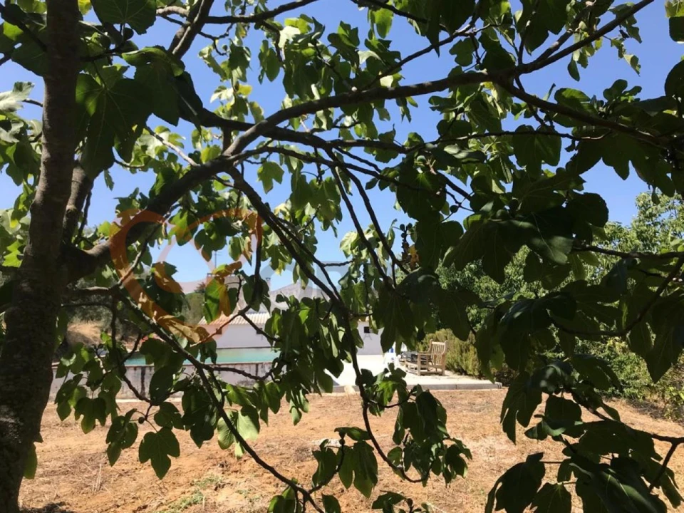 Moradia T4 para Venda em Vidigueira Foto 21