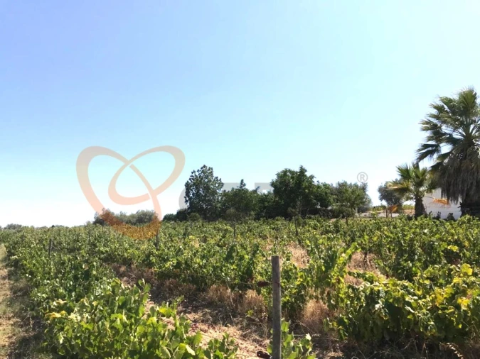 Moradia T4 para Venda em Vidigueira Foto 8