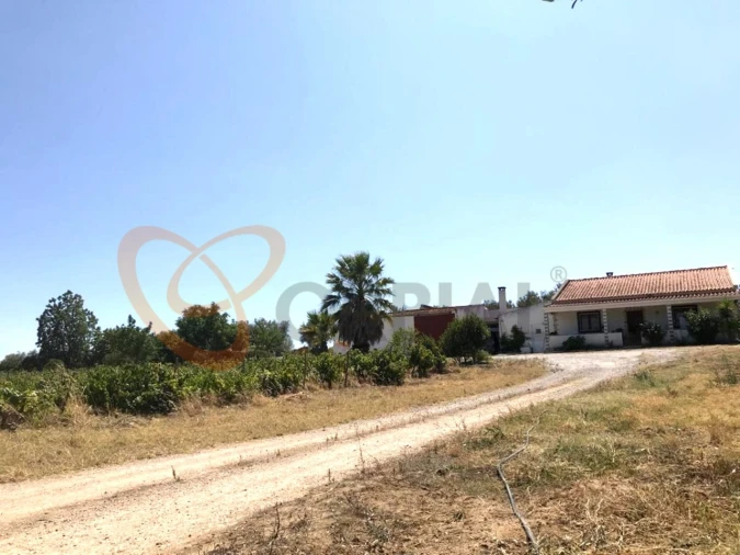 Moradia T4 para Venda em Vidigueira Foto 3