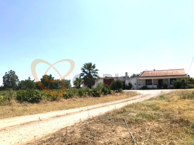 Moradia T4 para Venda em Vidigueira Foto 12