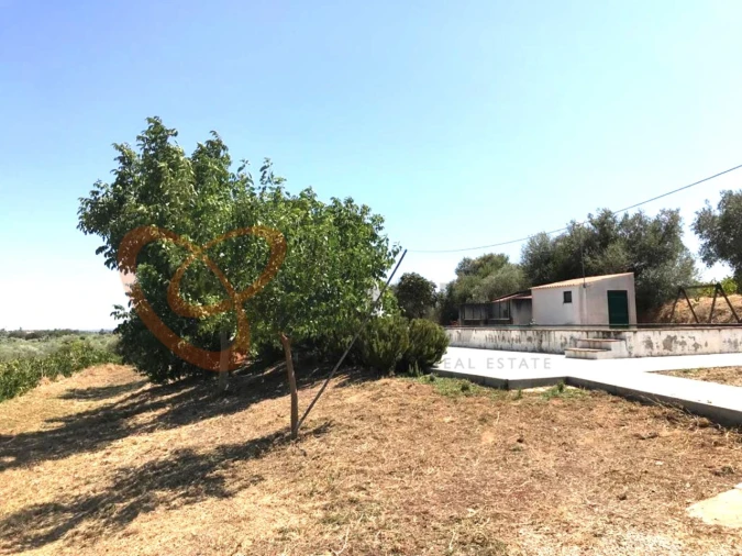 Moradia T4 para Venda em Vidigueira Foto 16