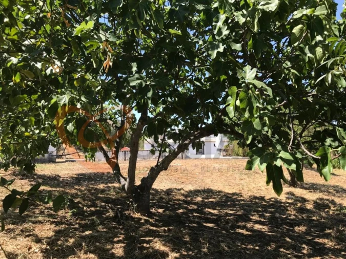 Moradia T4 para Venda em Vidigueira Foto 20