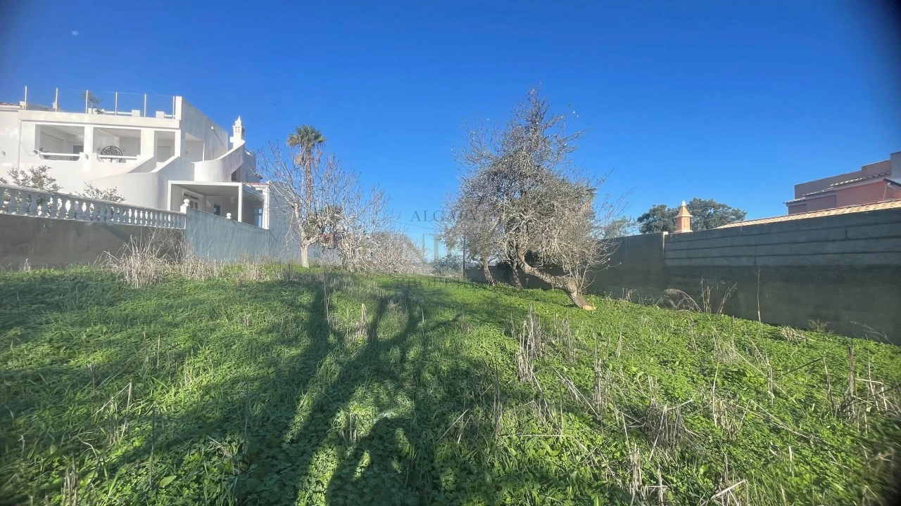 Terreno para Venda em Luz Foto 3