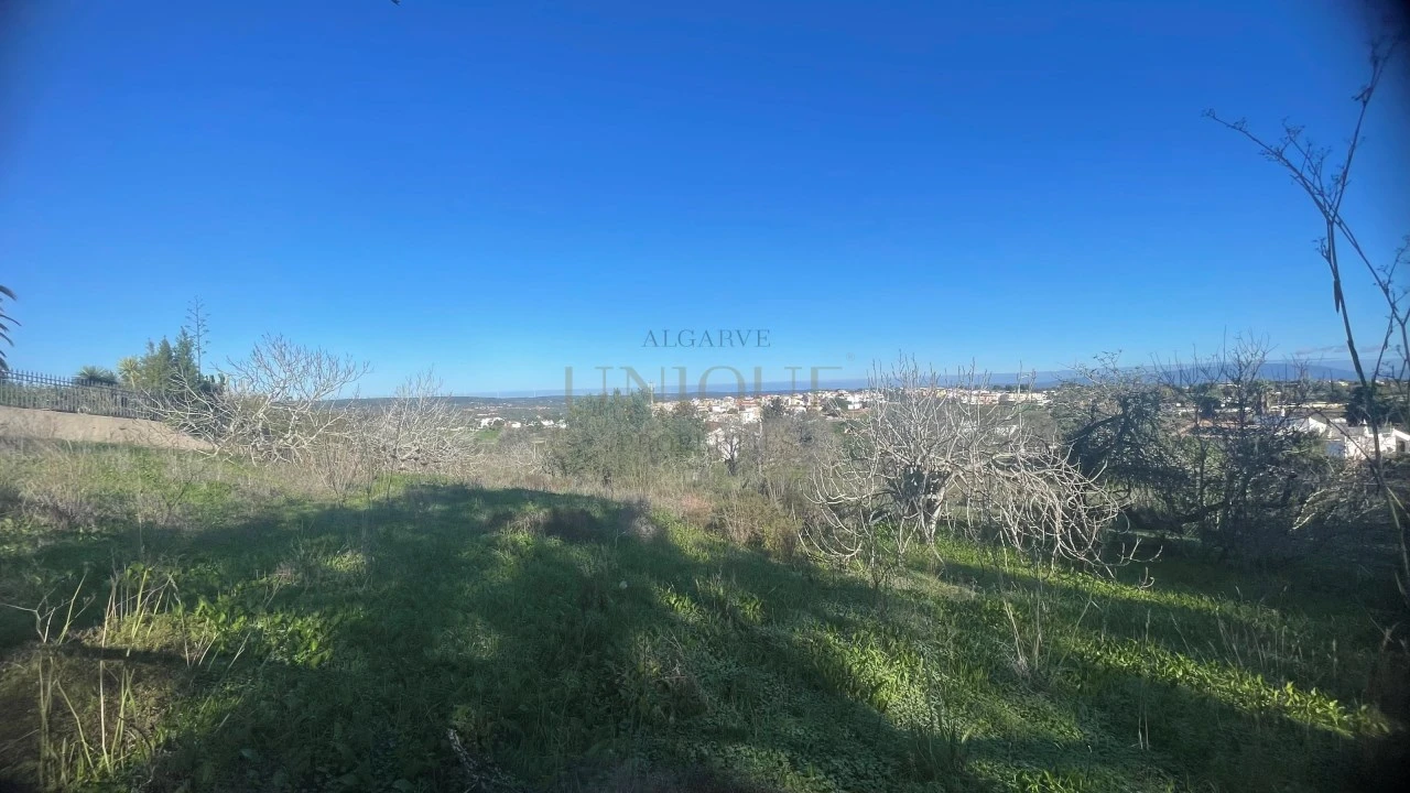 Terreno para Venda em Luz Foto 1