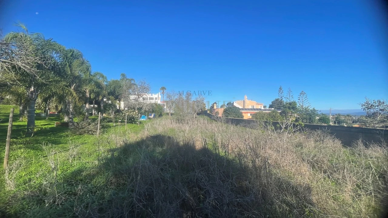 Terreno para Venda em Luz Foto 5