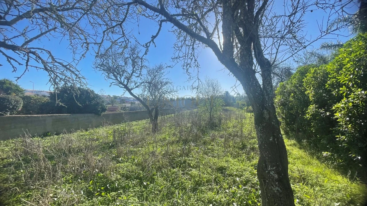 Terreno para Venda em Luz Foto 2