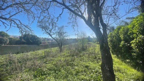 Terreno para Venda em Luz