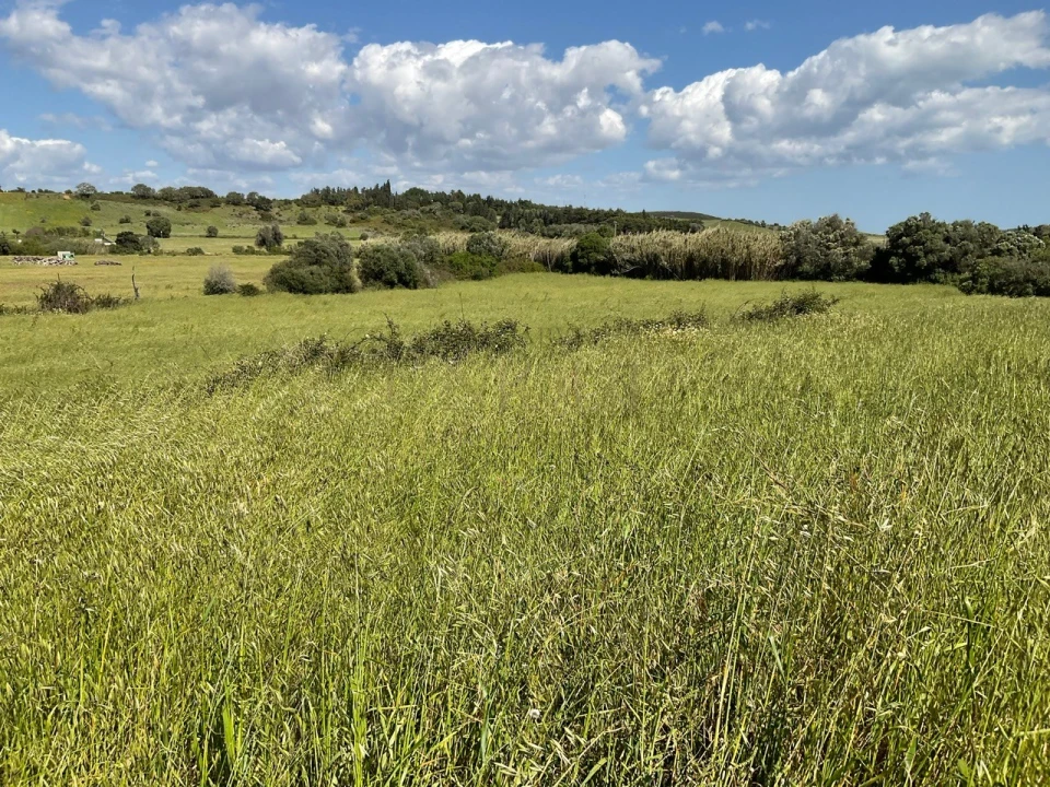 Terreno para Venda em Bensafrim e Barão de São João Foto 10
