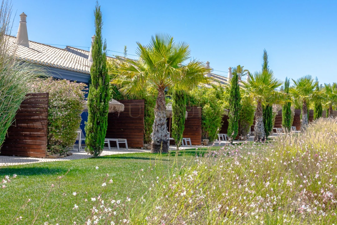Negócio para Venda em Luz Foto 2