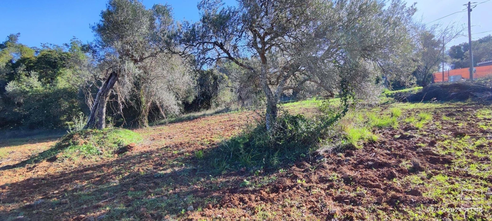 Terreno para Venda em Salir Foto 6