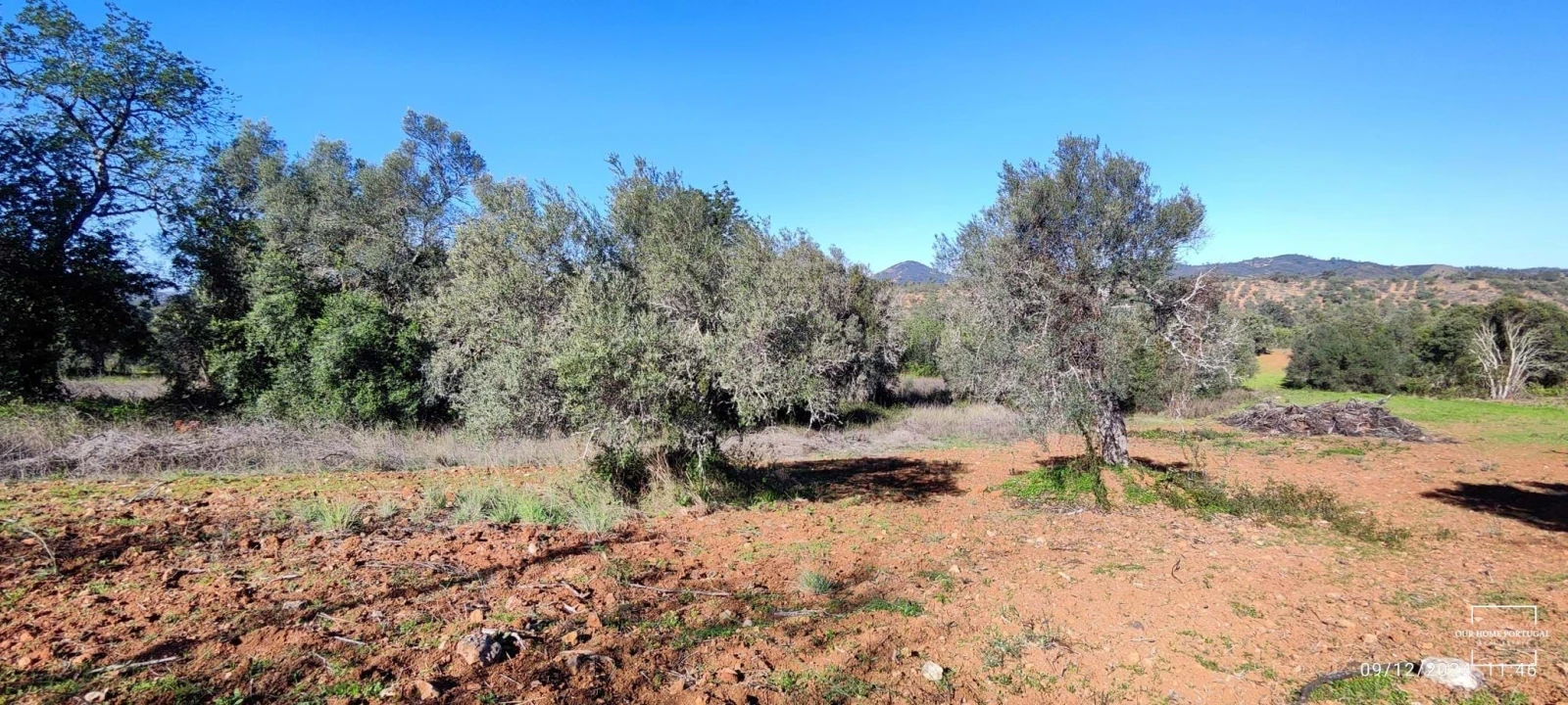 Terreno para Venda em Salir Foto 8