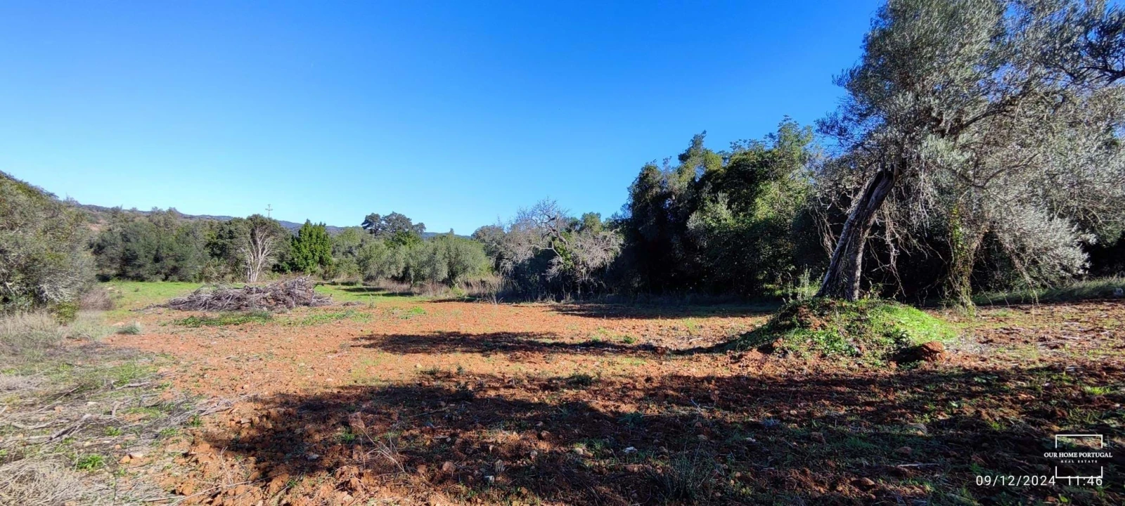 Terreno para Venda em Salir Foto 5