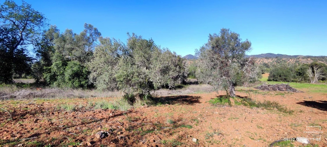 Terreno para Venda em Salir Foto 8