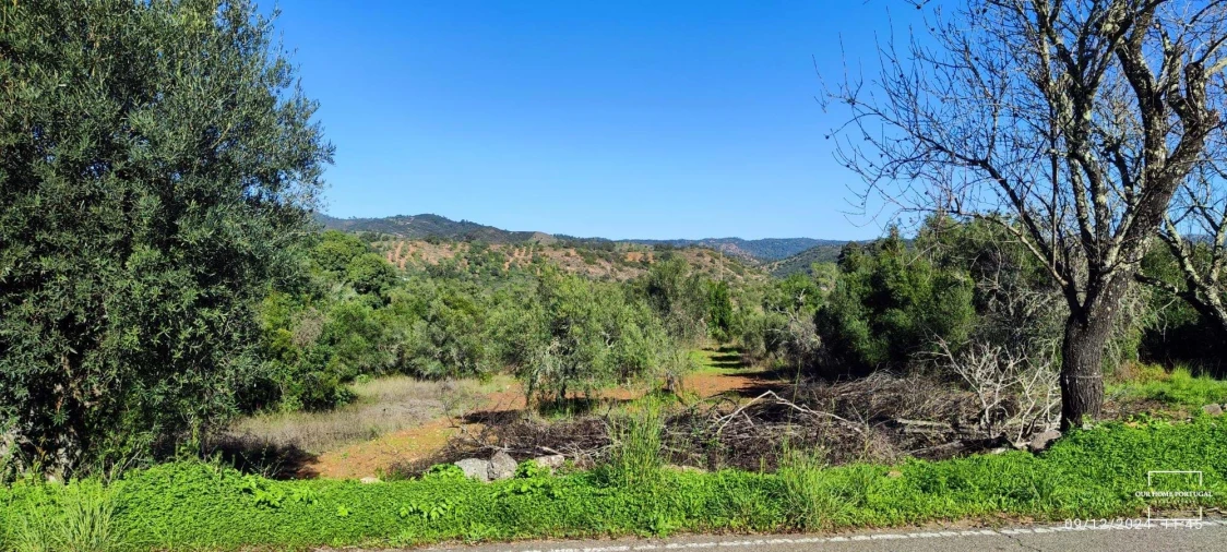 Terreno para Venda em Salir Foto 2