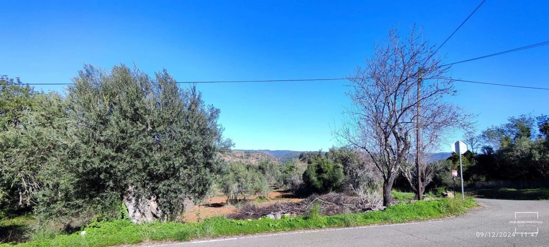 Terreno para Venda em Salir Foto 3