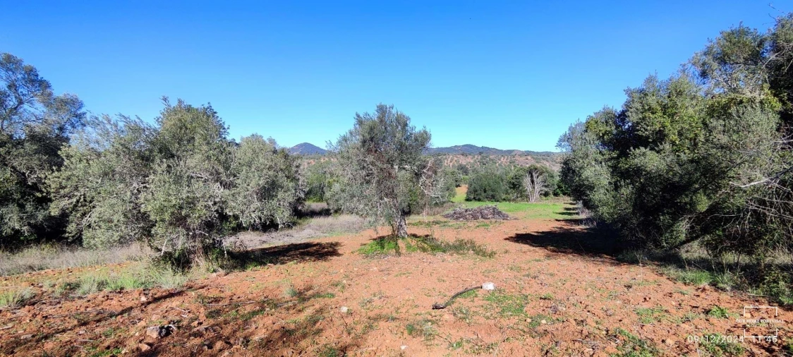 Terreno para Venda em Salir Foto 10