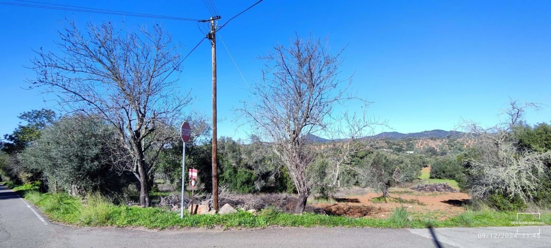 Terreno para Venda em Salir Foto 4