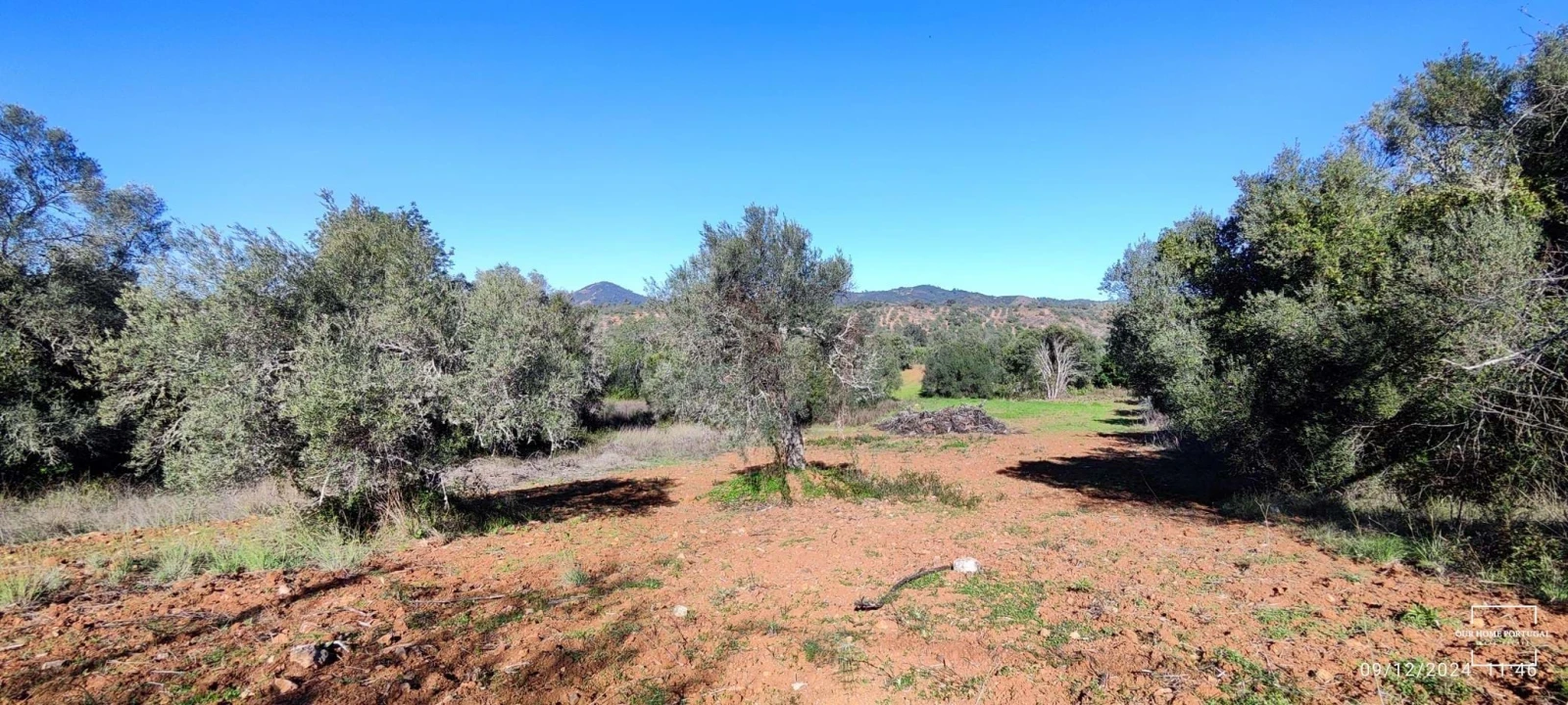 Terreno para Venda em Salir Foto 10