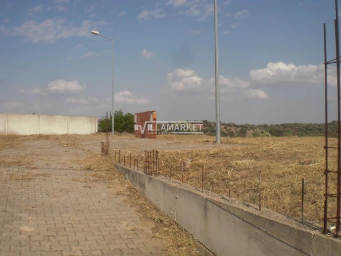 Terreno para Venda em Alvito Foto 5