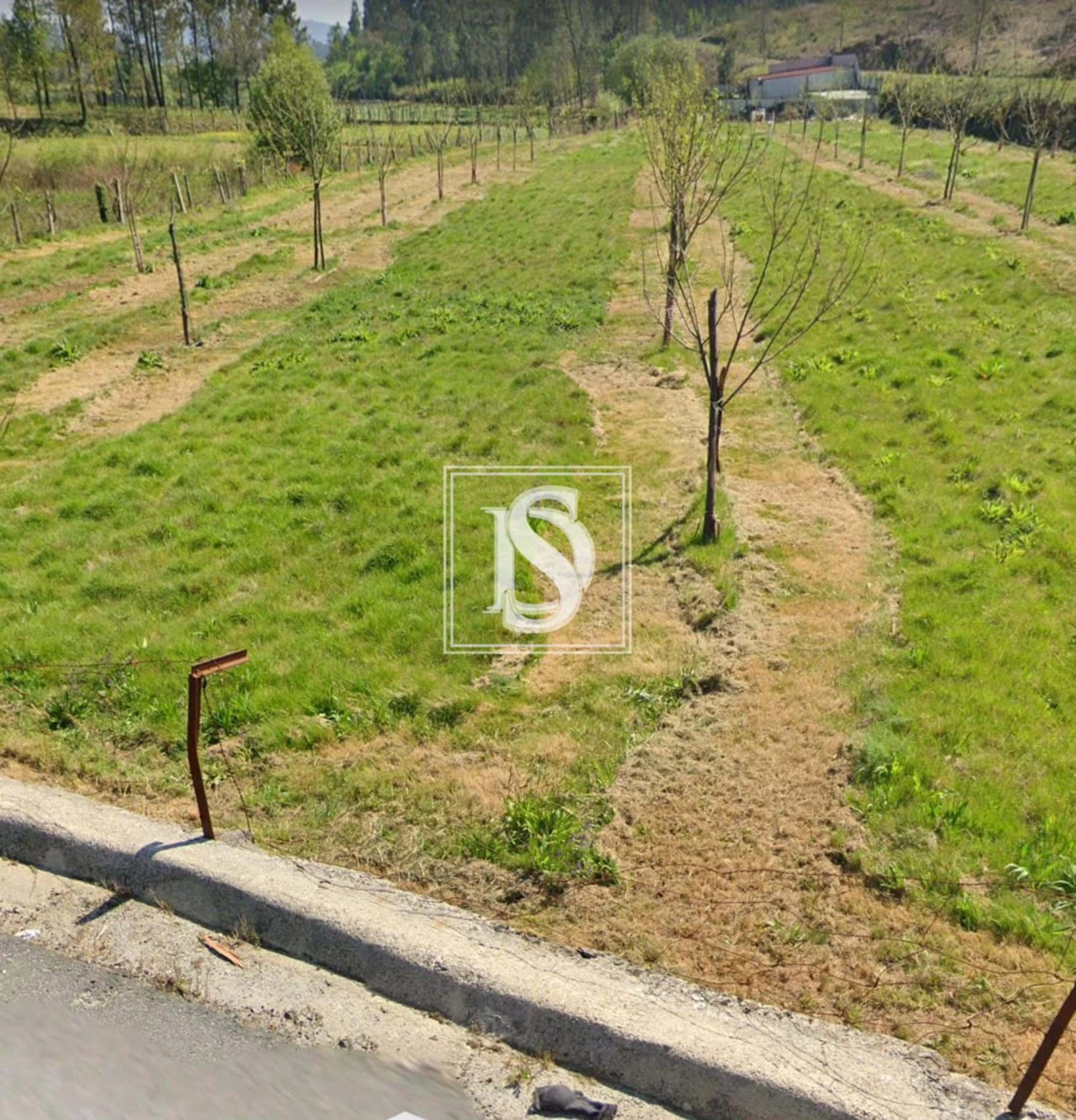 Terreno para Venda em Arca e Ponte de Lima Foto 5
