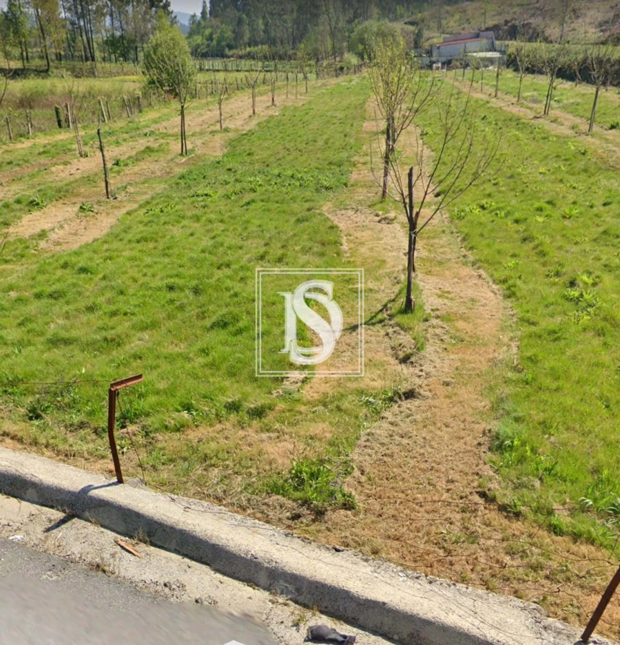Terreno para Venda em Arca e Ponte de Lima Foto 5