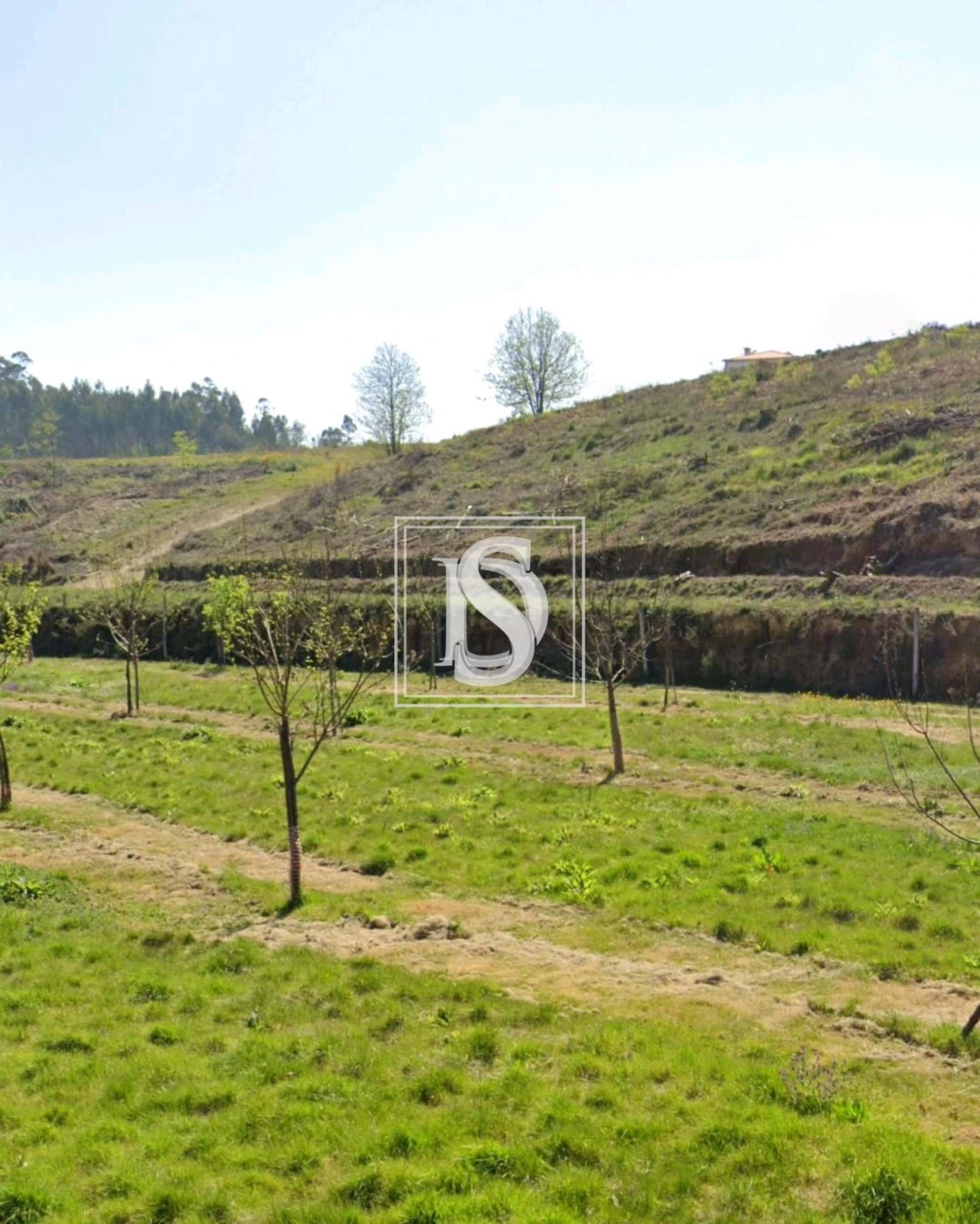 Terreno para Venda em Arca e Ponte de Lima Foto 6