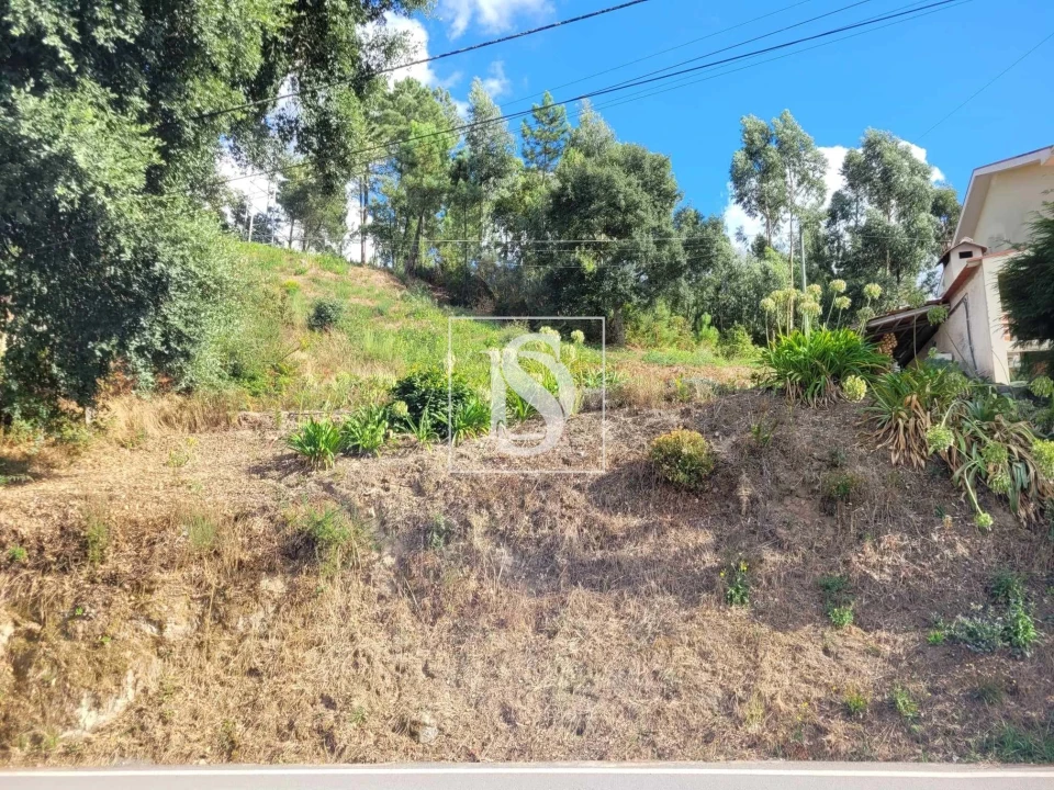 Terreno para Venda em Espadanedo Foto 2