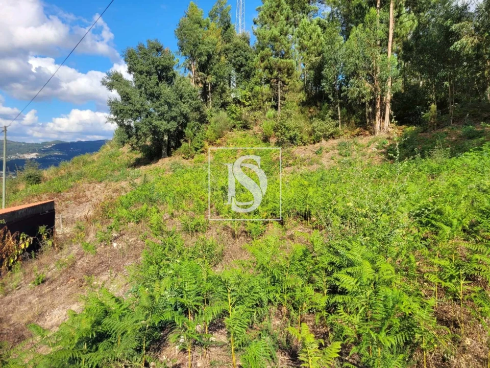 Terreno para Venda em Espadanedo Foto 8