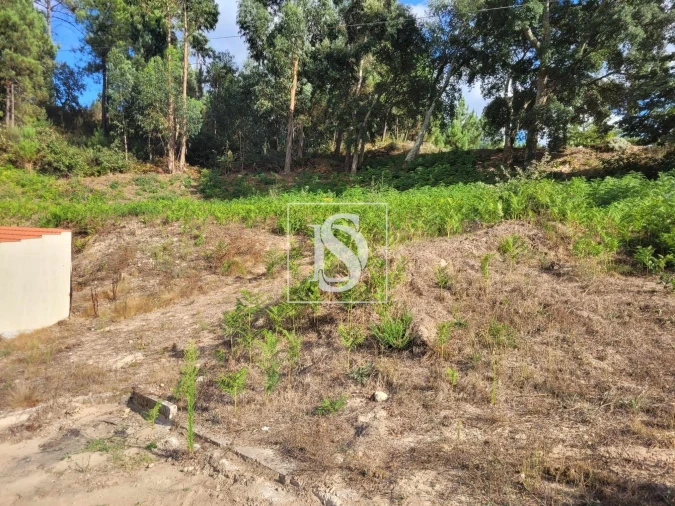 Terreno para Venda em Espadanedo Foto 10