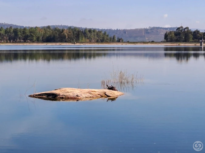 Moradia para Venda em Seixo de Manhoses Foto 15