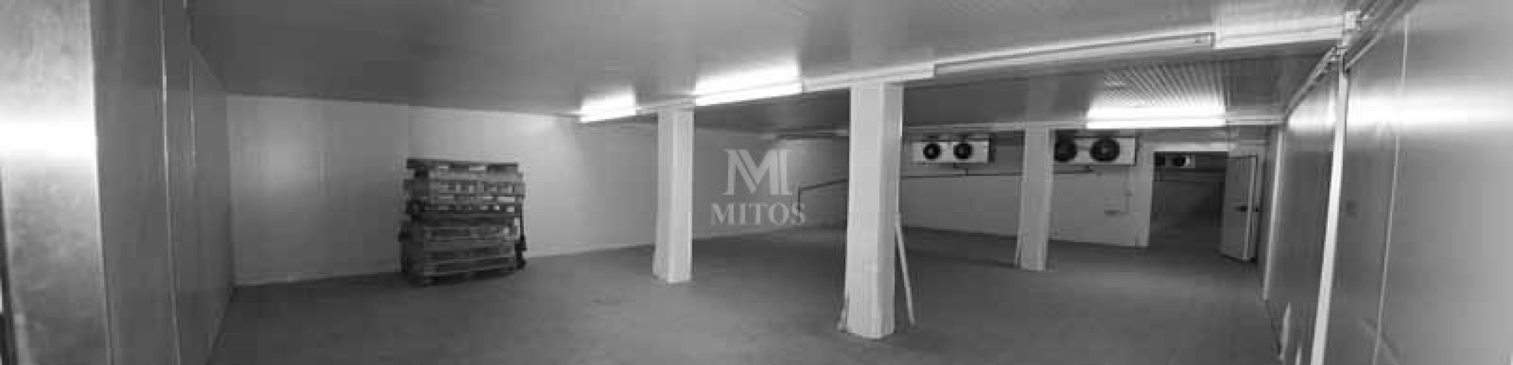 Armazém para Venda em Antas Foto 12