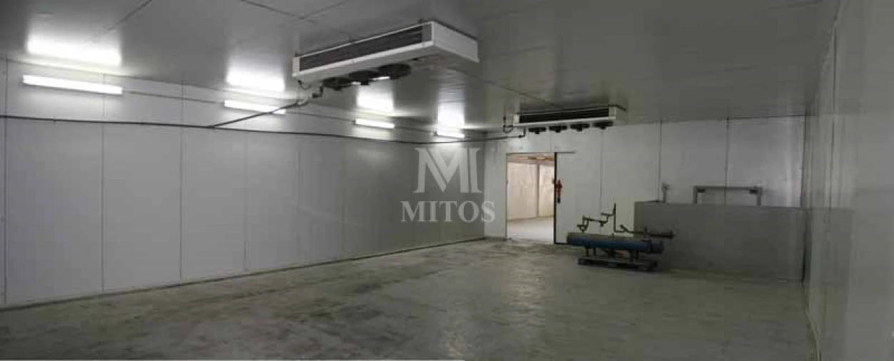 Armazém para Venda em Antas Foto 11