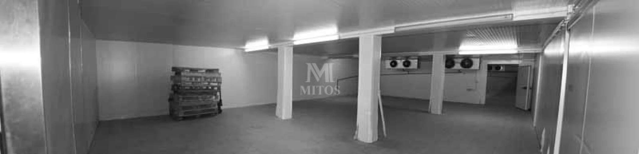 Armazém para Venda em Antas Foto 12