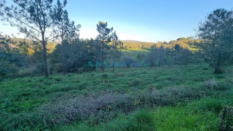 Terreno para Venda em Pombal