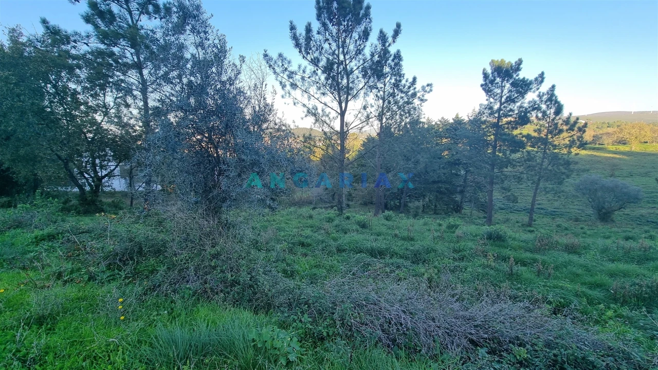 Terreno para Venda em Pombal Foto 6