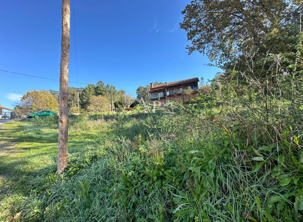 Terreno para Venda em São Pedro do Sul, Várzea e Baiões Foto 2