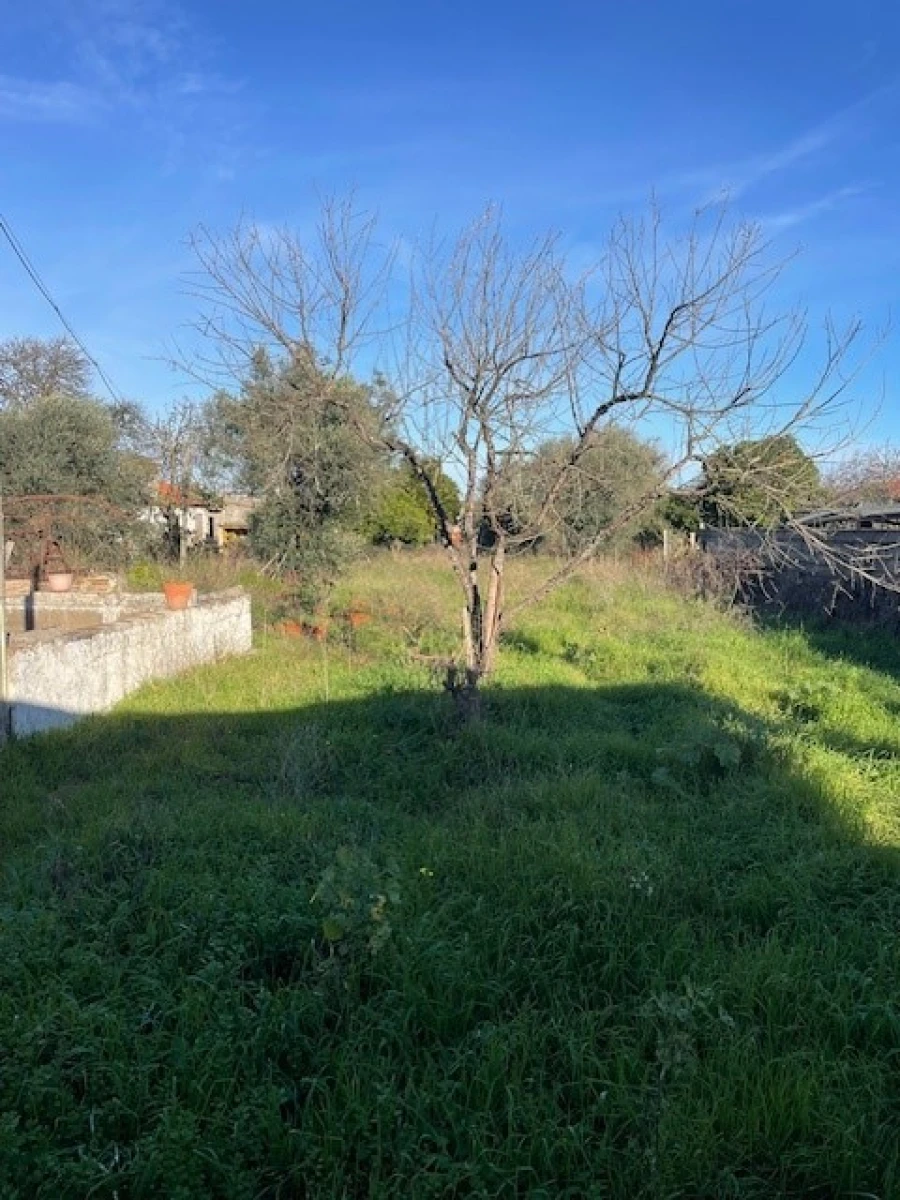 Quinta T2 para Venda em Ponte de Sor, Tramaga e Vale de Açor Foto 9