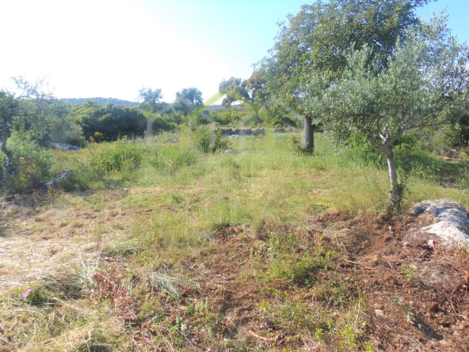 Terreno Misto para Venda em Santa Barbara de Nexe Foto 3