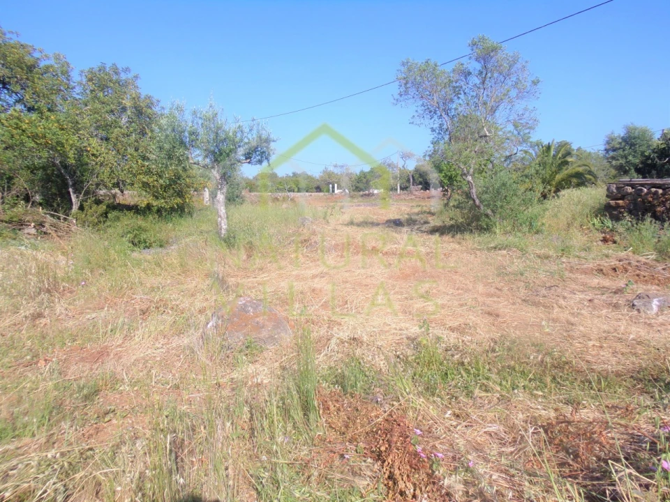 Terreno Misto para Venda em Santa Barbara de Nexe Foto 4