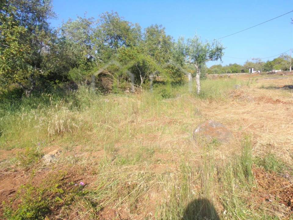 Terreno Misto para Venda em Santa Barbara de Nexe Foto 5