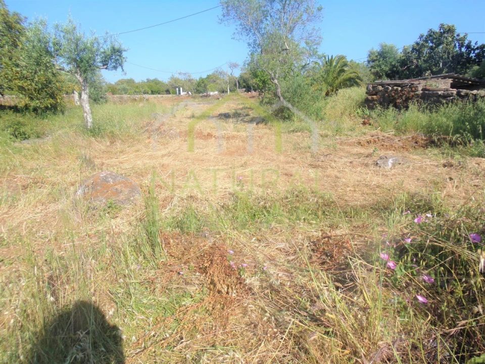 Terreno Misto para Venda em Santa Barbara de Nexe Foto 7