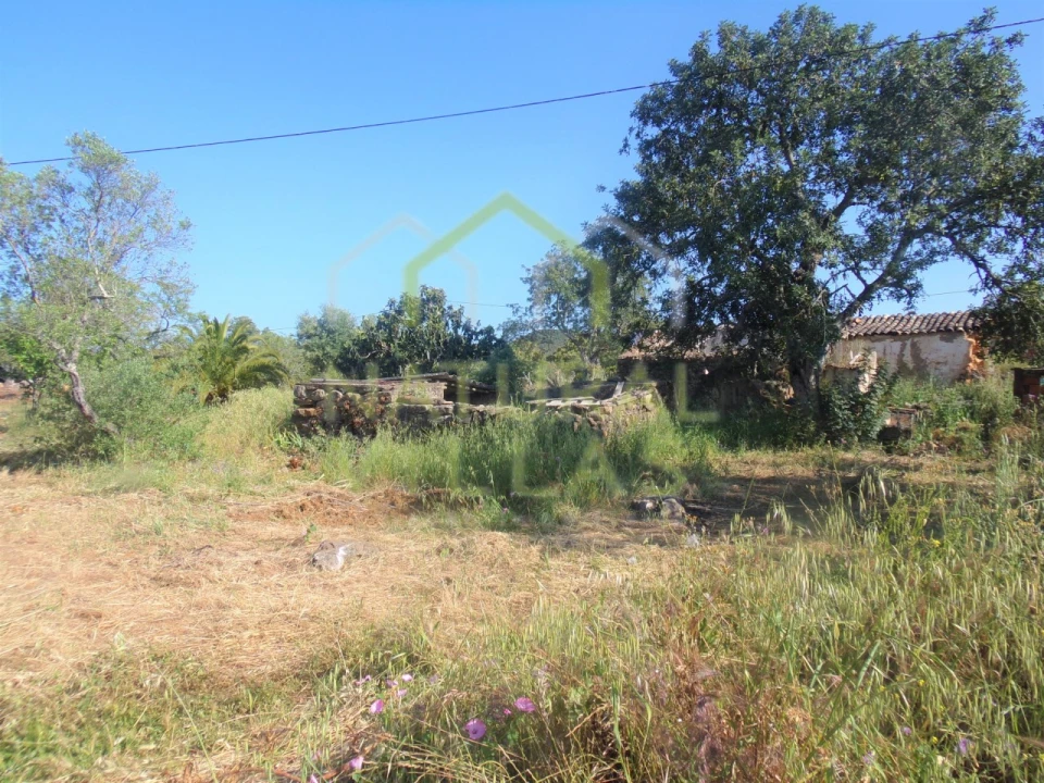Terreno Misto para Venda em Santa Barbara de Nexe Foto 1